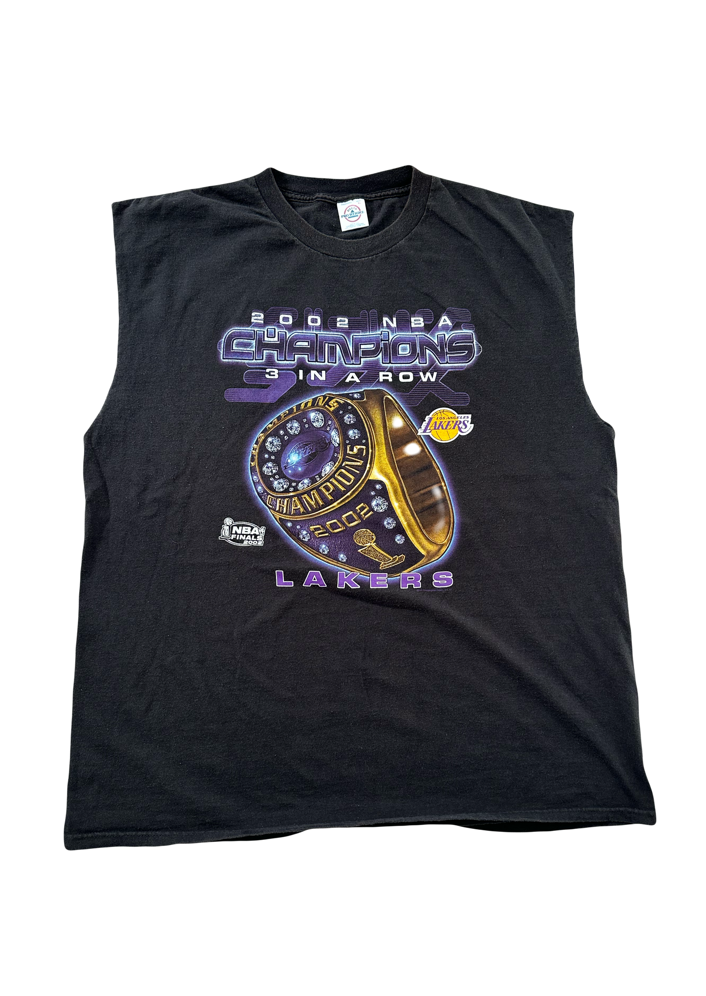 2002 lakers champions tank